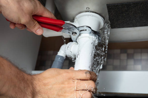 Best Mold removal after water damage  in Su Oswego, NY