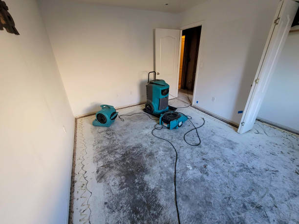 Best Sewage cleanup and water damage restoration  in Su Oswego, NY