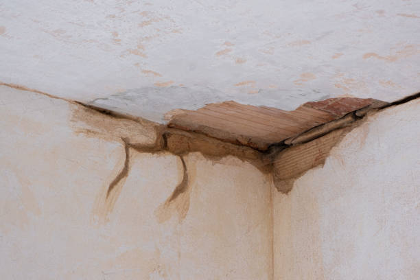Best Flood restoration services  in Su Oswego, NY