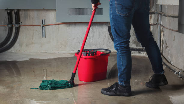 Best Commercial water damage restoration  in Su Oswego, NY
