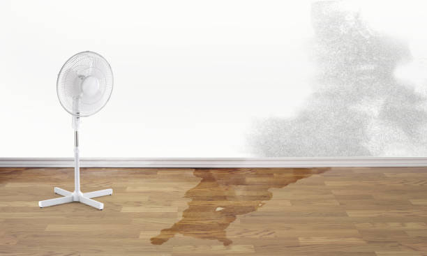 Best Flood damage cleanup  in Su Oswego, NY