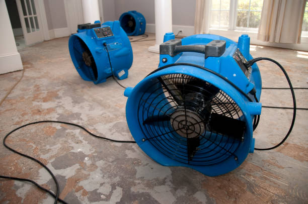 Best Sewage cleanup and water damage restoration  in Su Oswego, NY