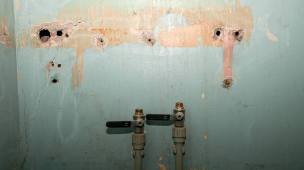 Best Water damage restoration near me  in Su Oswego, NY