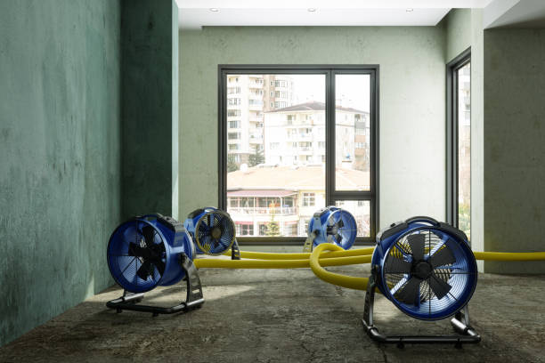 Local water damage restoration in NY