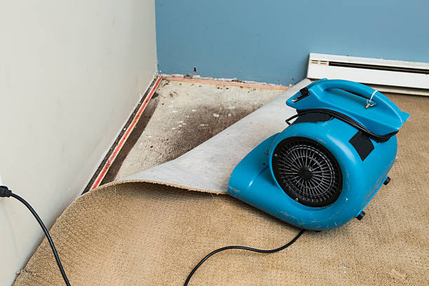 Best Flood restoration services  in Su Oswego, NY